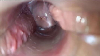orgasmo vaginal